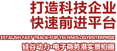 网络110报警服务